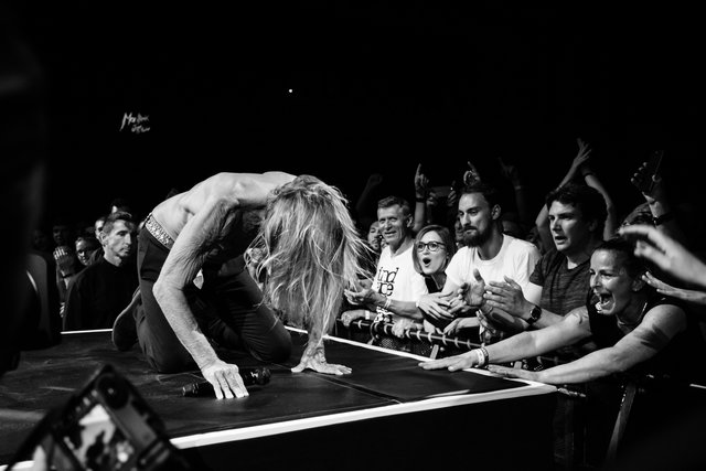 Ekstatischer Iggy Pop beim Montreux Jazzfestival 2018
 | Foto: Montreux Jazzfestival, Marc Ducrest 