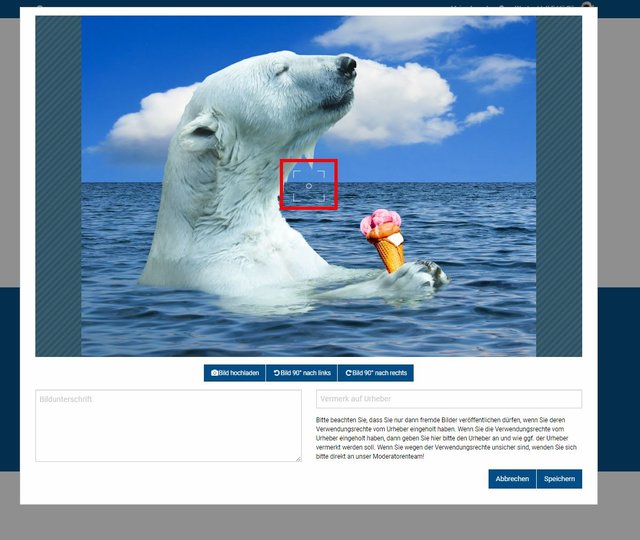 Schritt 3 - Bild bearbeiten und Bildfokus festlegen: Nach dem Hochladen können Sie den Schnappschuss bearbeiten, zum Beispiel das Foto nach rechts oder links drehen und einen Bildfokus festlegen.  | Foto: Wochenblatt-Redaktion