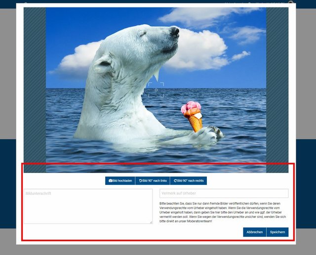 Schritt 3 - Bild bearbeiten, Bildfokus festlegen und Bildunterschrift hinzufügen: Nach dem Hochladen können Sie den Schnappschuss bearbeiten, zum Beispiel das Foto nach rechts oder links drehen und einen Bildfokus festlegen.  | Foto: Wochenblatt-Redaktion