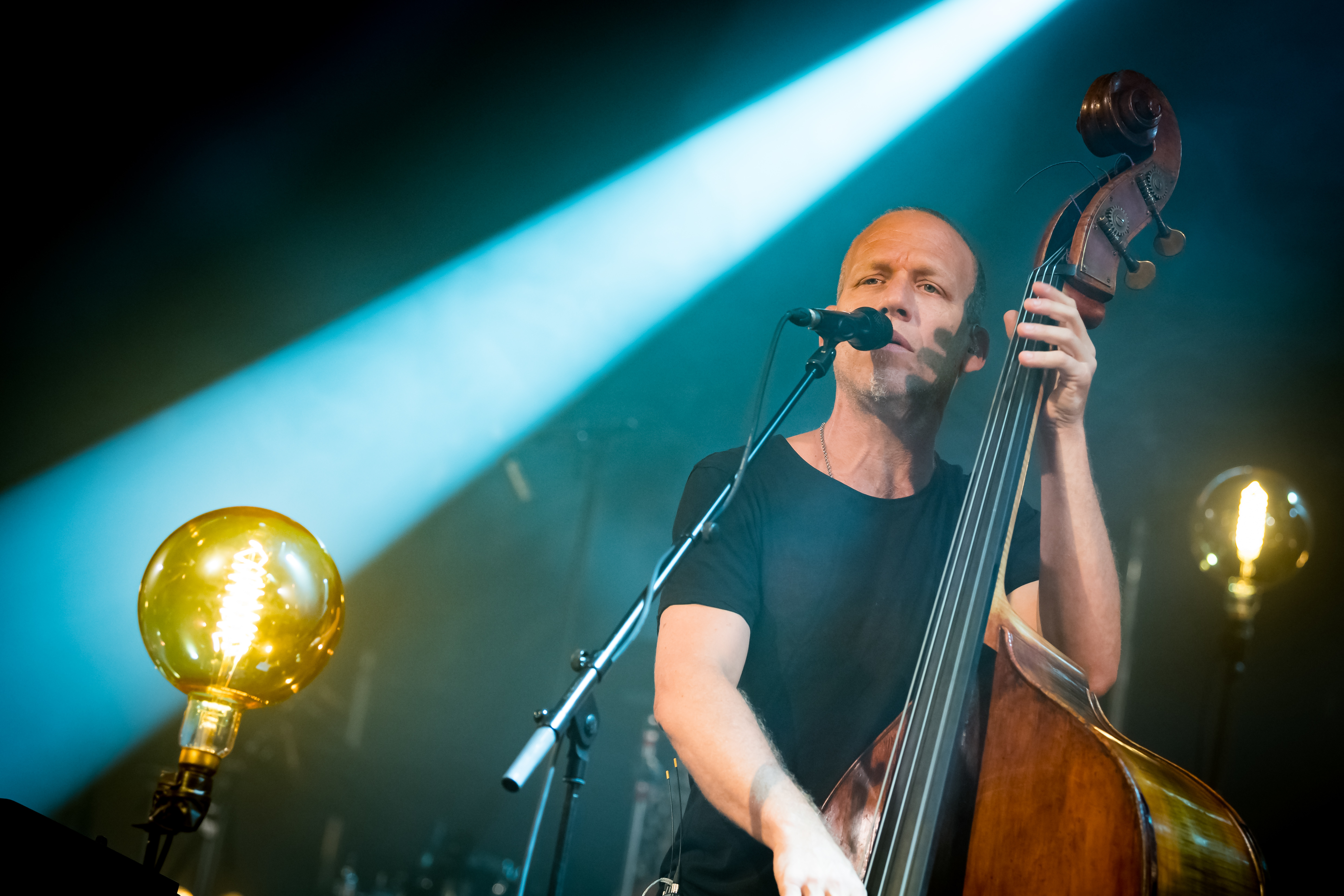 Avishai Cohen - Bassist, Sänger, Pianist und Komponist