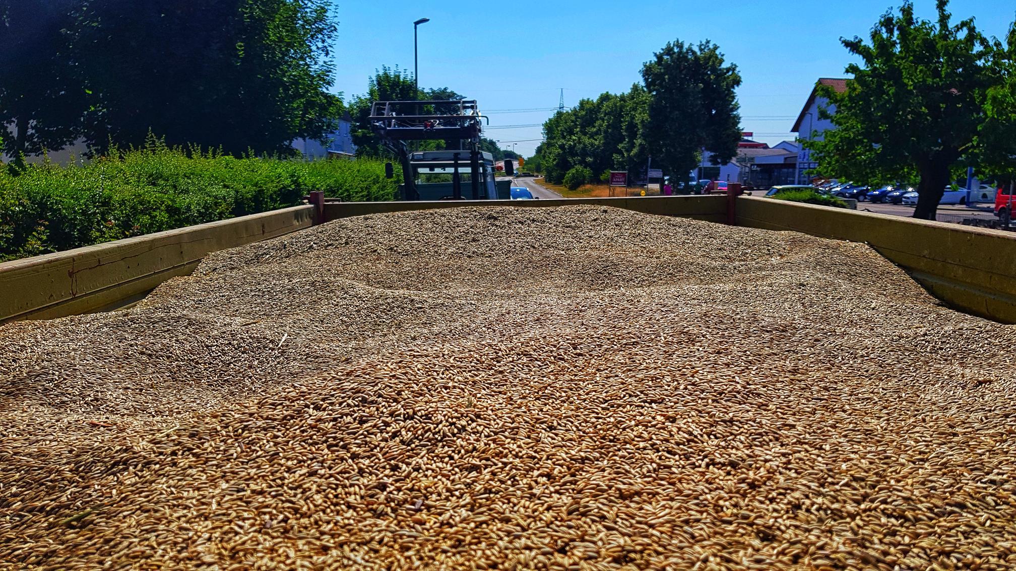 Drei Tonnen Roggen verteilten sich auf der Straße.