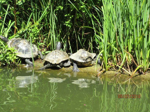 Foto: Ingrid Schüler