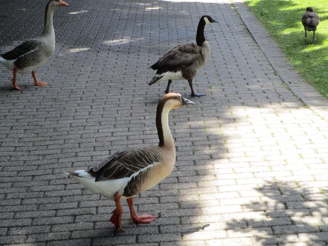 Foto: Ingrid Schüler
