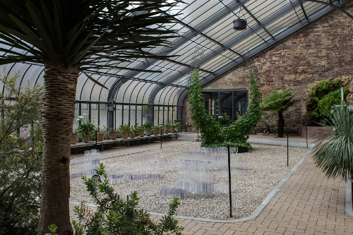 Zeitgenössische Kunst im Gewächshaus des Botanischen Gartens: Arbeiten der Studierenden André Wischnewski und Jochen Hautzdorf.