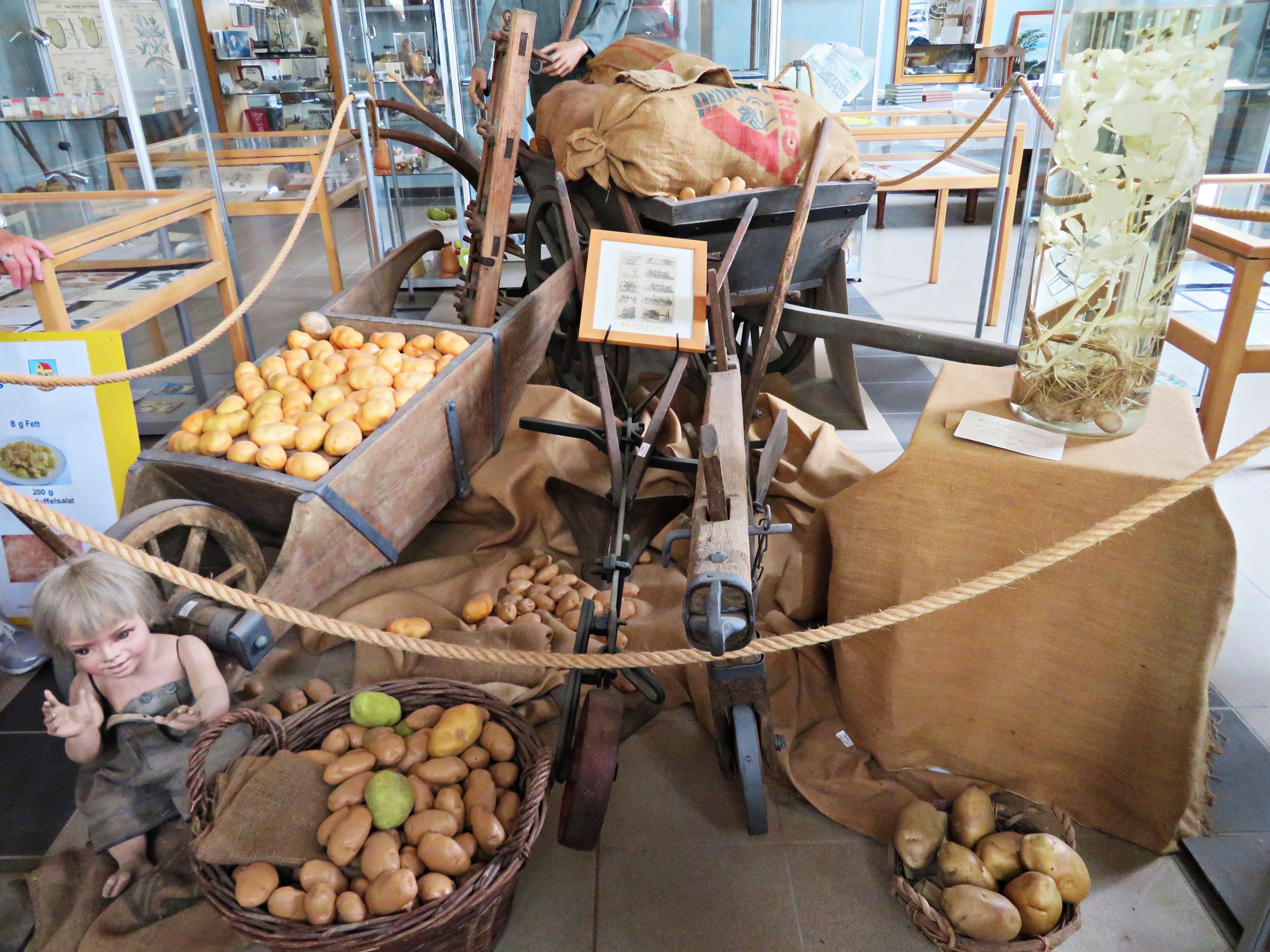 Einblick ins Kartoffelmuseum