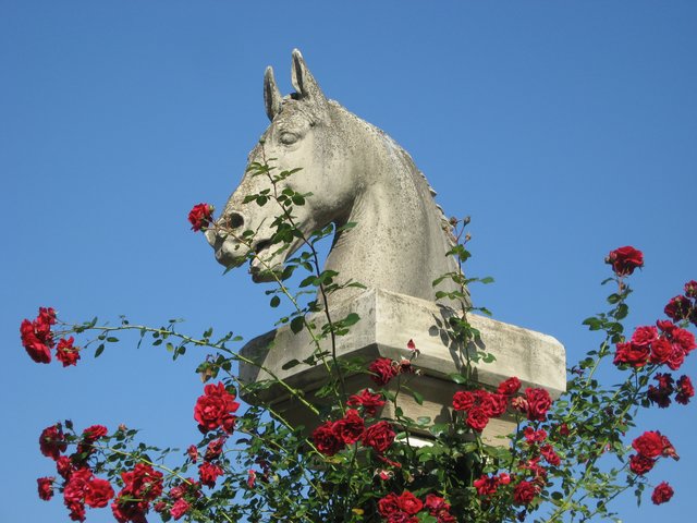 Stadt der Rosen und Rösser (Zweibrücken)