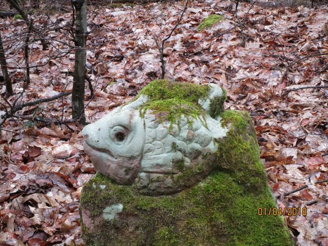 Foto: Ingrid Schüler