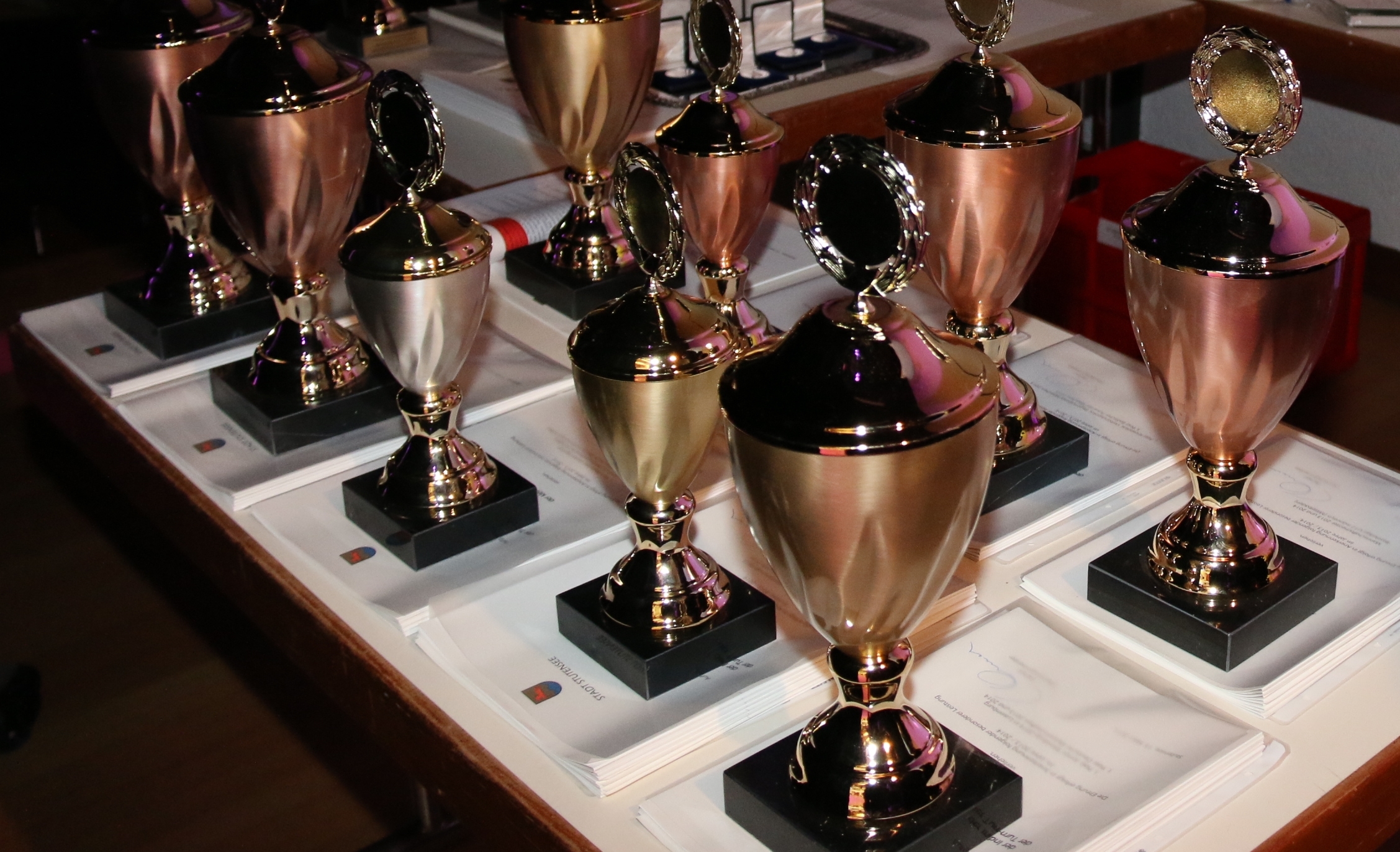 Ehrungen im Rahmen des Bürgerballs am 16. März 2019