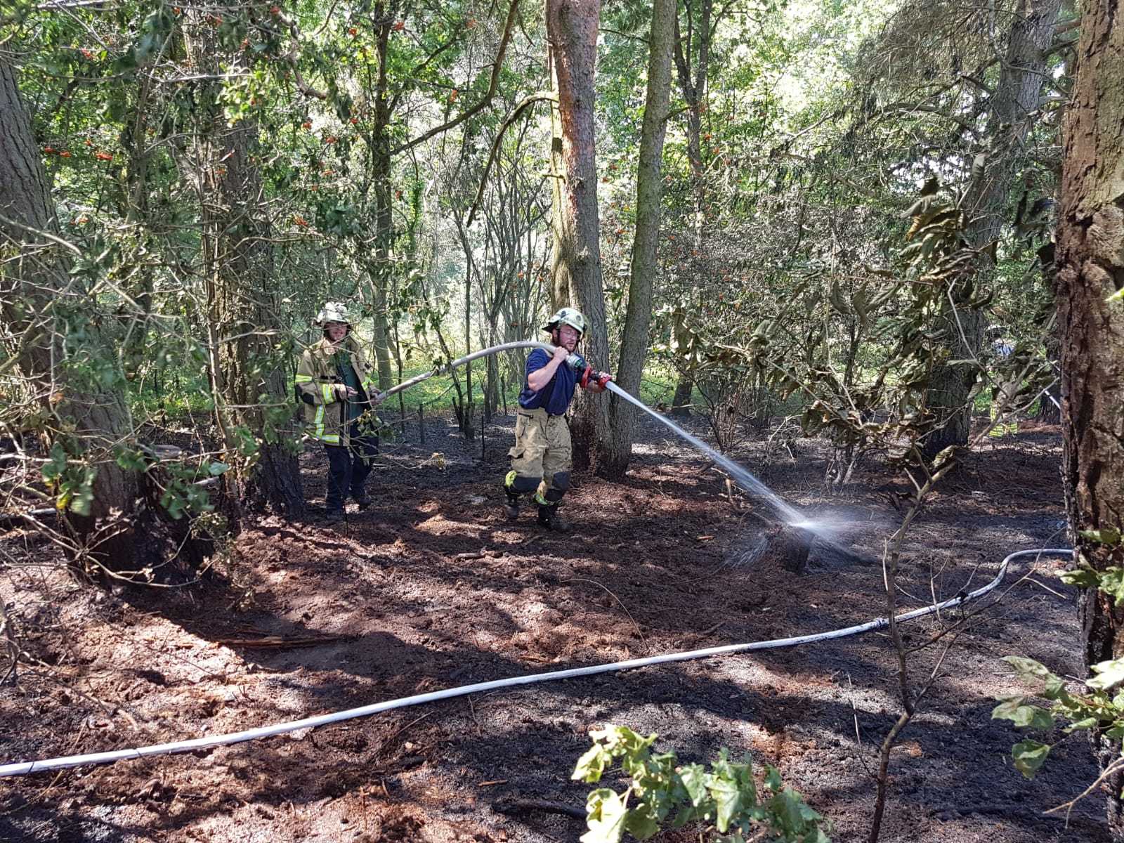 Waldbrand auf der Johannishöhe Otterberg