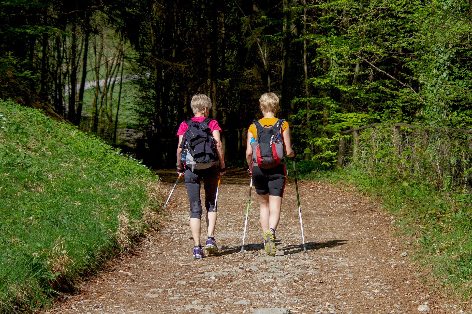 Einen Nordic Walking Kurs bietet die SG Wörth-Germersheim ab 8. August in Rülzheim an.