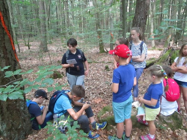 Foto: Ingrid Schüler