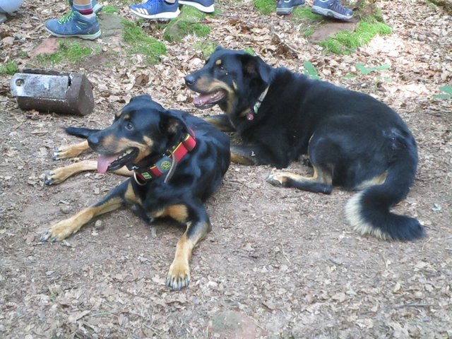 Foto: Ingrid Schüler