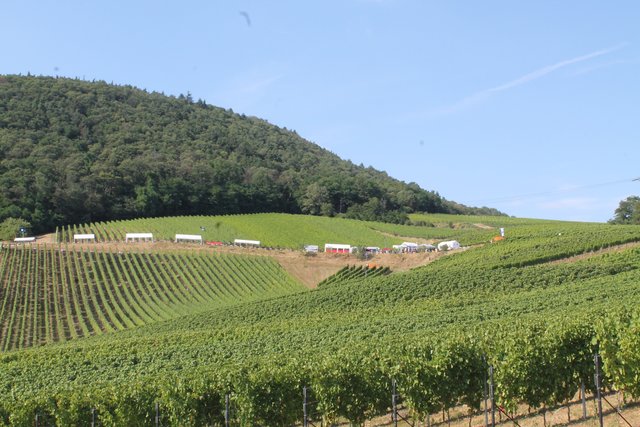 Blick auf das Fest. | Foto: vgv