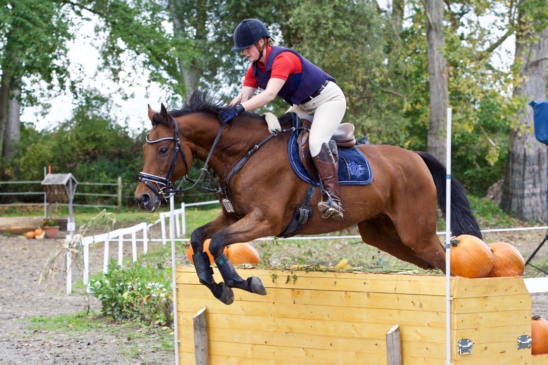Sportreiterin Patricia Walter vom RC Speyer im Sattel auf Victor.