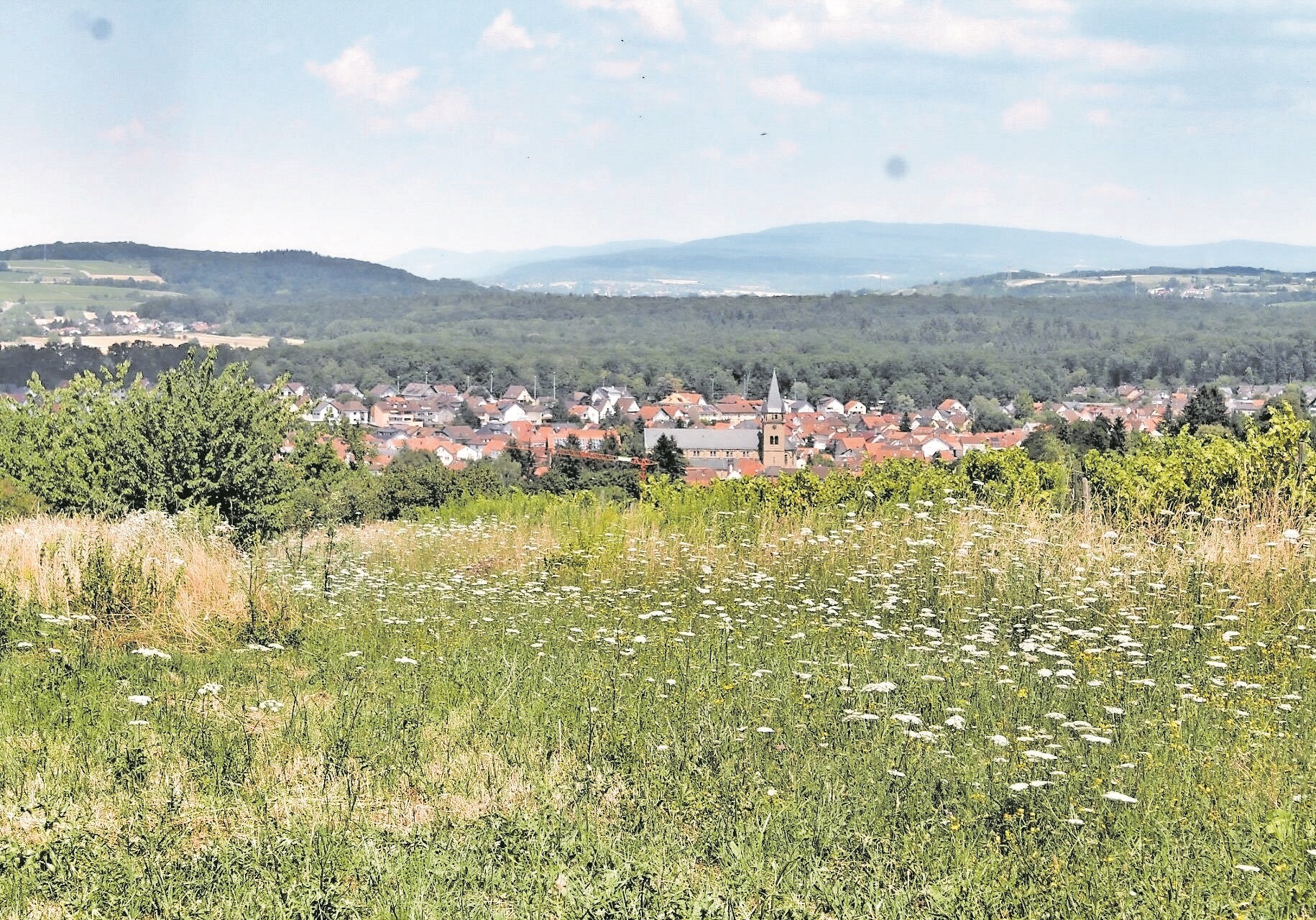 Östringen feiert von 20. bis 22. Juli mit einem Festwochenende sein 1.250-jähriges Bestehen.