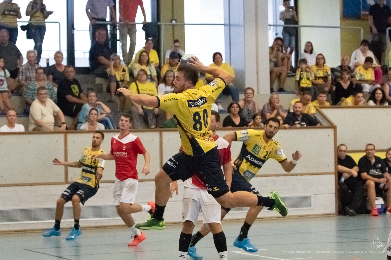 Spiel mit den Löwen"-Gewinner TV Offenbach gegen die Rhein-Neckar Löwen