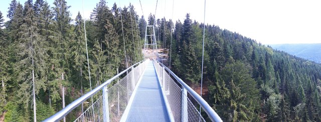Ein tolles Erlebnis - auch wenn es etwas Überwindung kostet | Foto: www.jowapress.de