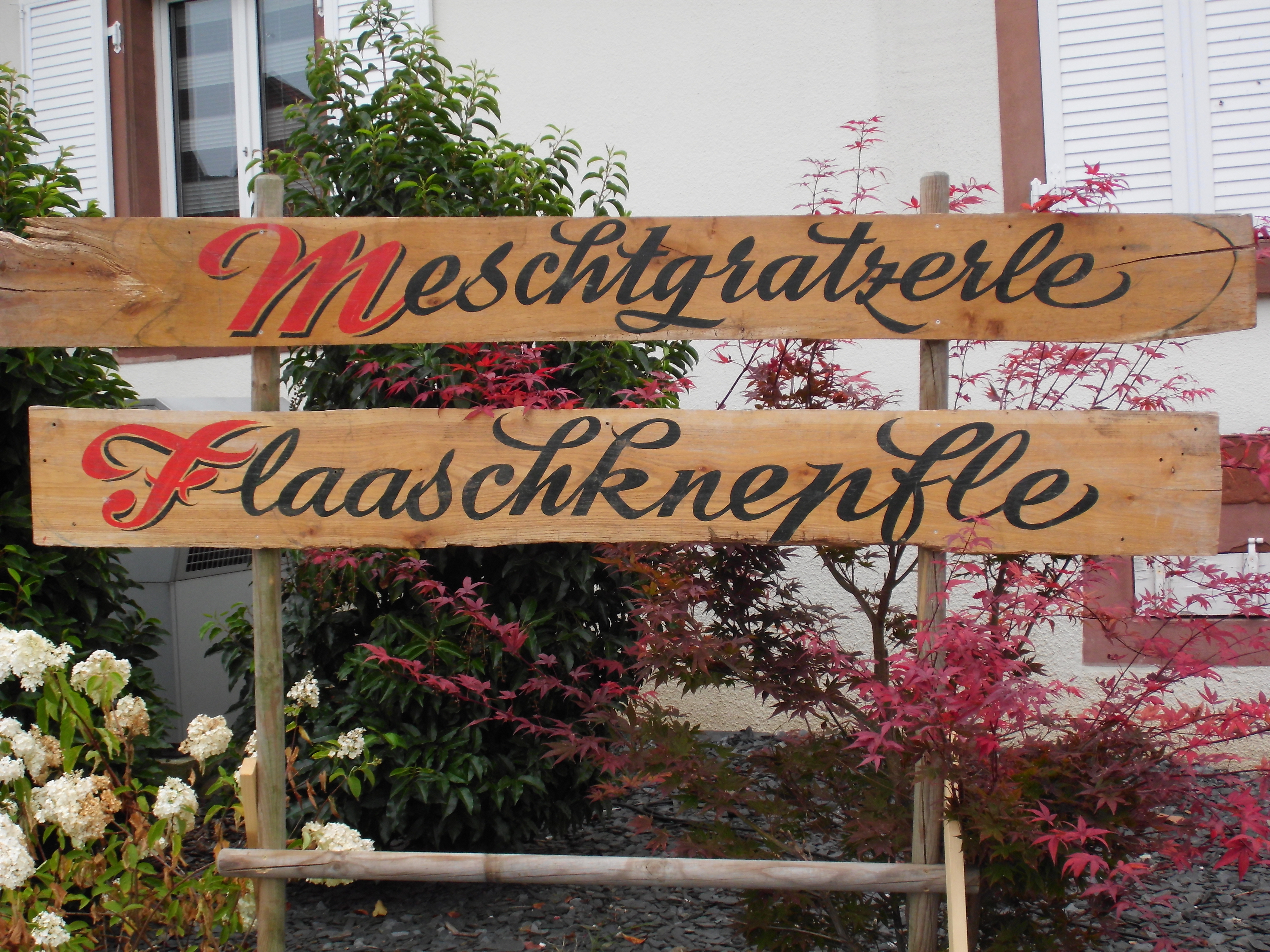 Kulinarisches Angebot