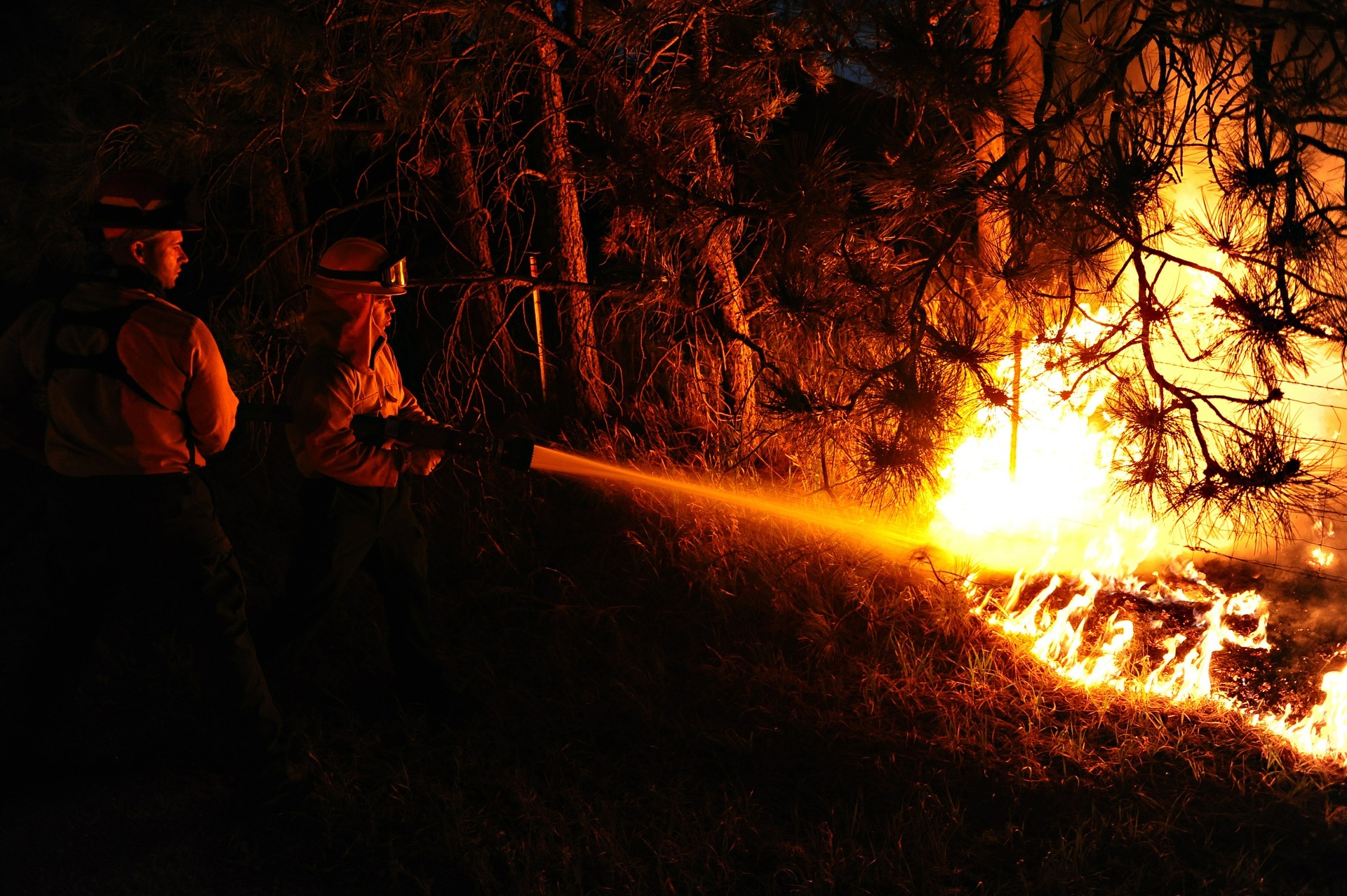 Durch die große Trockenheit besteht akute Waldbrandgefahr.