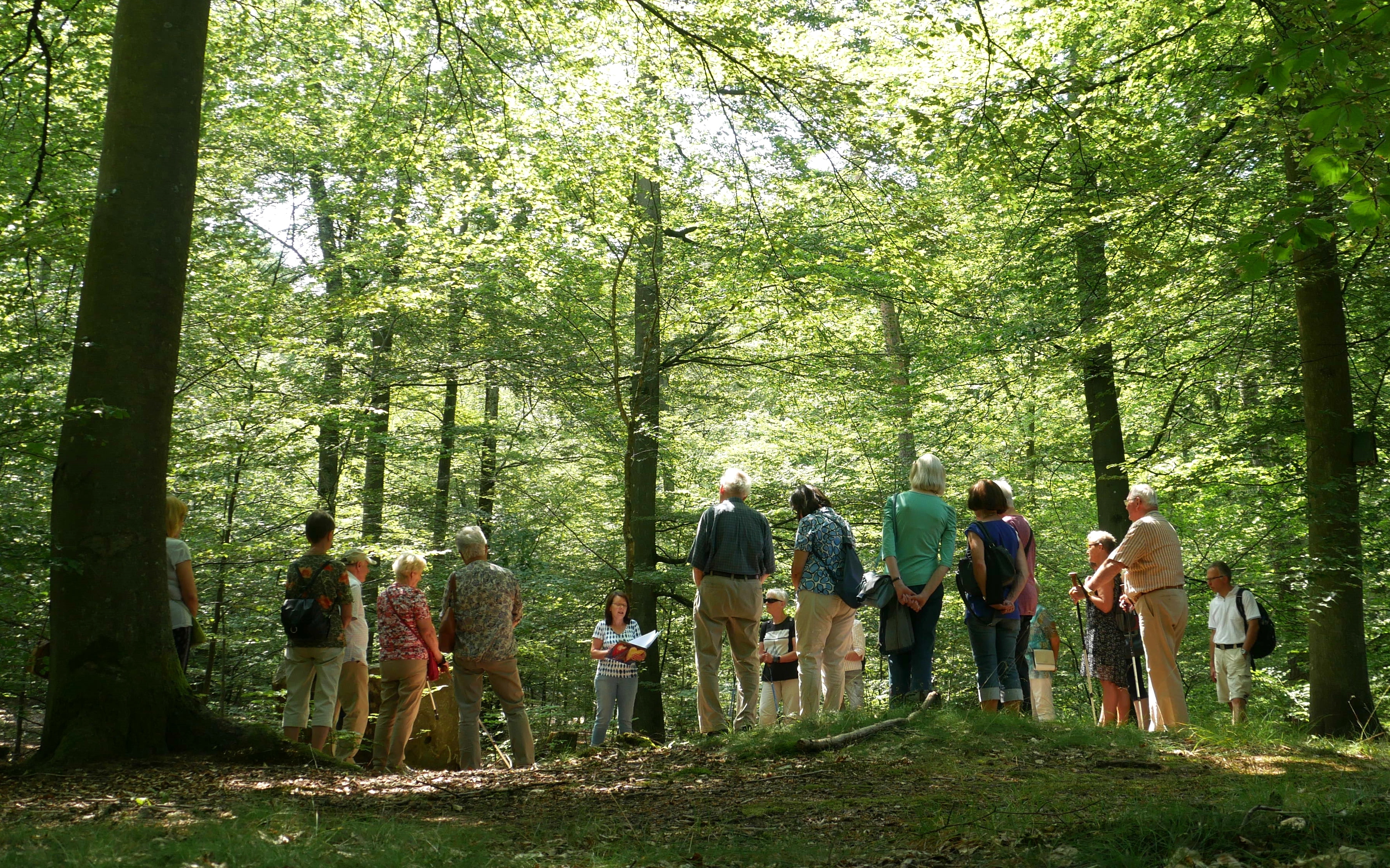 Der Spaziergang durch den Ruheforst wurde begleitet von einfühlsam ausgewählten Gedichten und Texten
