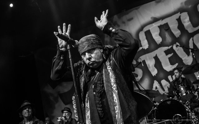 Little Steven &amp; The Disciples of Soul, Zeltival 2018 | Foto: Paul Needham