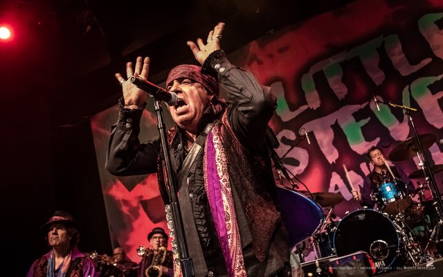 Little Steven &amp; The Disciples of Soul, Zeltival 2018 | Foto: Paul Needham