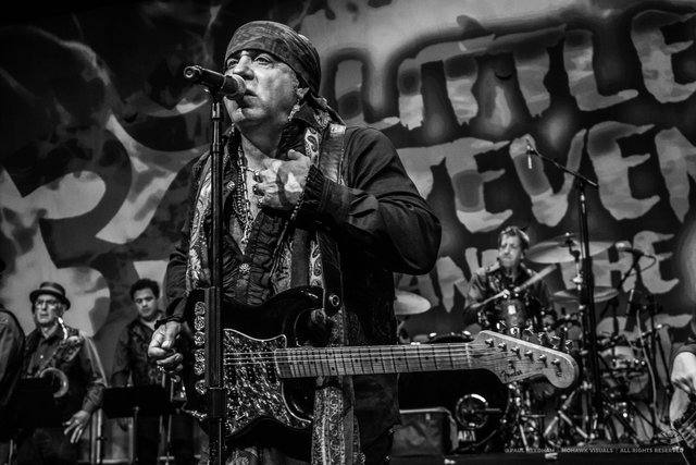 Little Steven &amp; The Disciples of Soul, Zeltival 2018 | Foto: Paul Needham