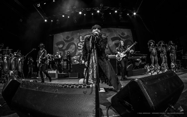 Little Steven &amp; The Disciples of Soul, Zeltival 2018 | Foto: Paul Needham