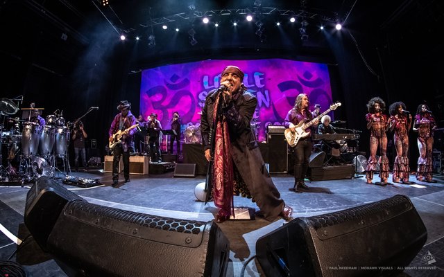Little Steven &amp; The Disciples of Soul, Zeltival 2018 | Foto: Paul Needham