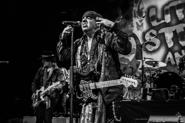 Little Steven &amp; The Disciples of Soul, Zeltival 2018 | Foto: Paul Needham