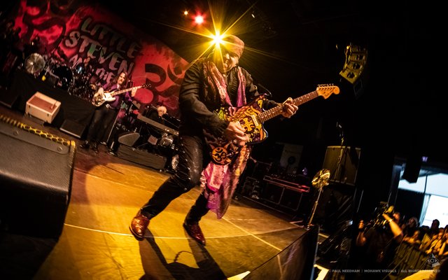 Little Steven &amp; The Disciples of Soul, Zeltival 2018 | Foto: Paul Needham