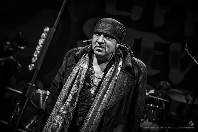 Little Steven &amp; The Disciples of Soul, Zeltival 2018 | Foto: Paul Needham