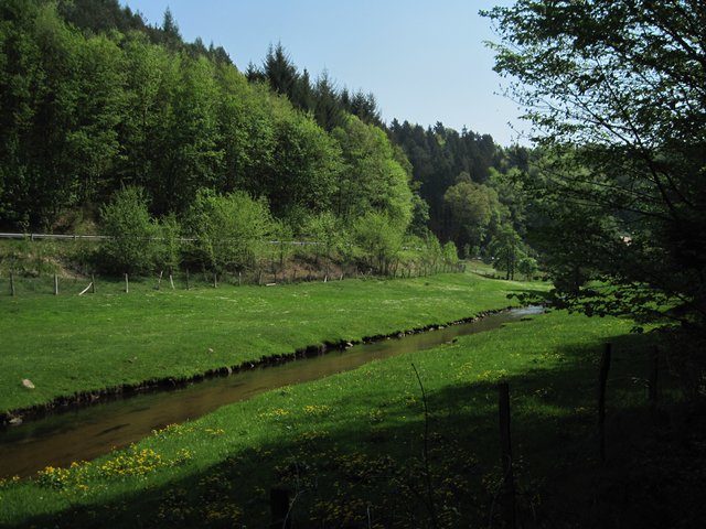 Moosalbtal