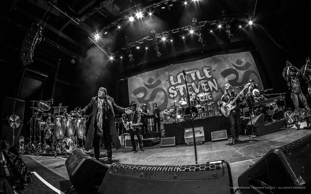 Little Steven &amp; The Disciples of Soul, Zeltival 2018 | Foto: Paul Needham