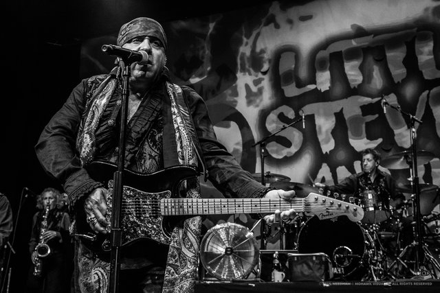 Little Steven &amp; The Disciples of Soul, Zeltival 2018 | Foto: Paul Needham