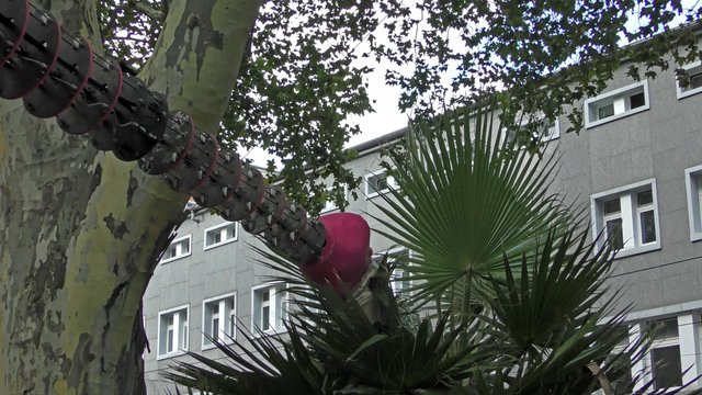 Foto: Ilona Schäfer