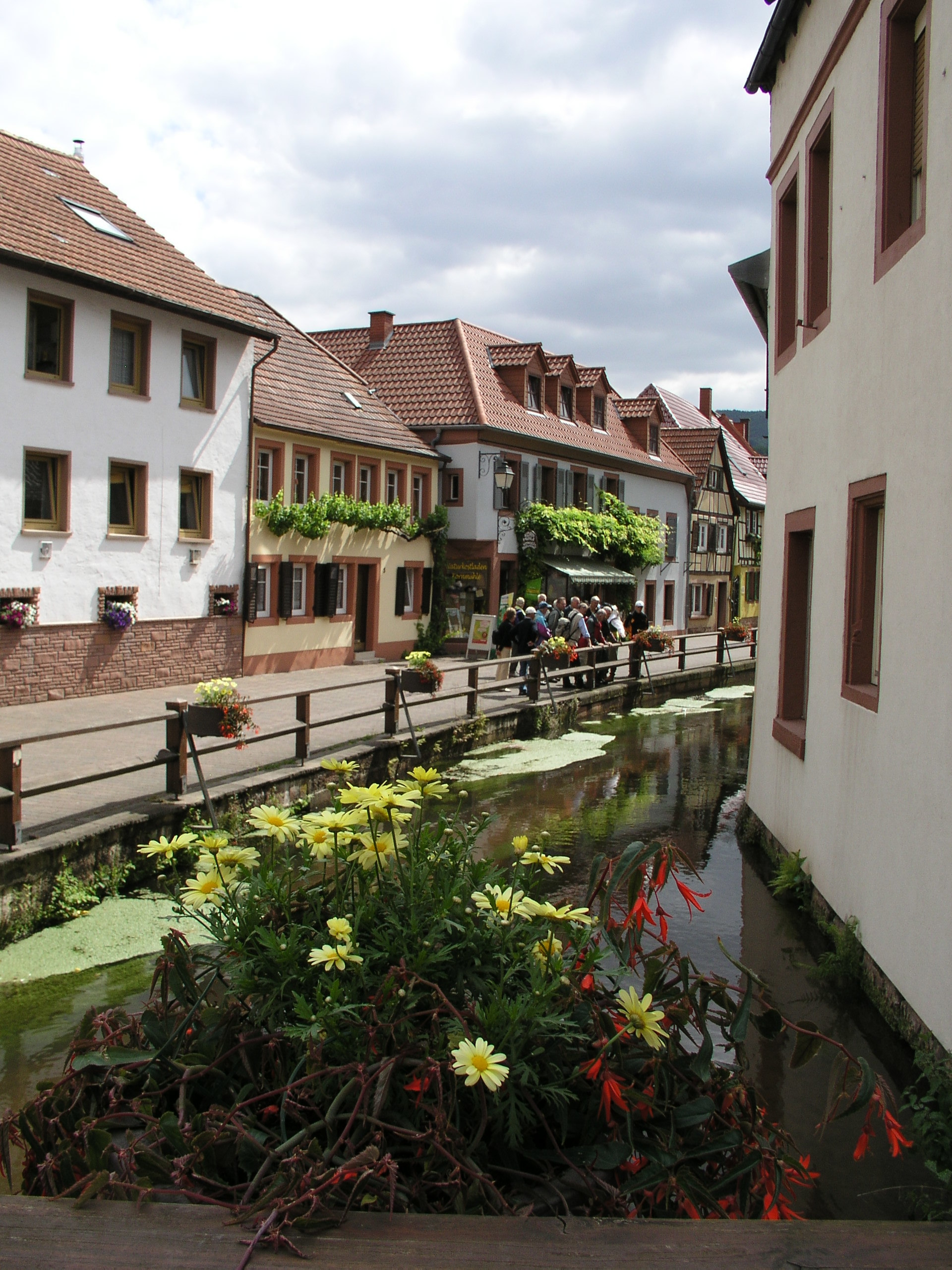 Blick von der Brücke auf die Wassergasse.