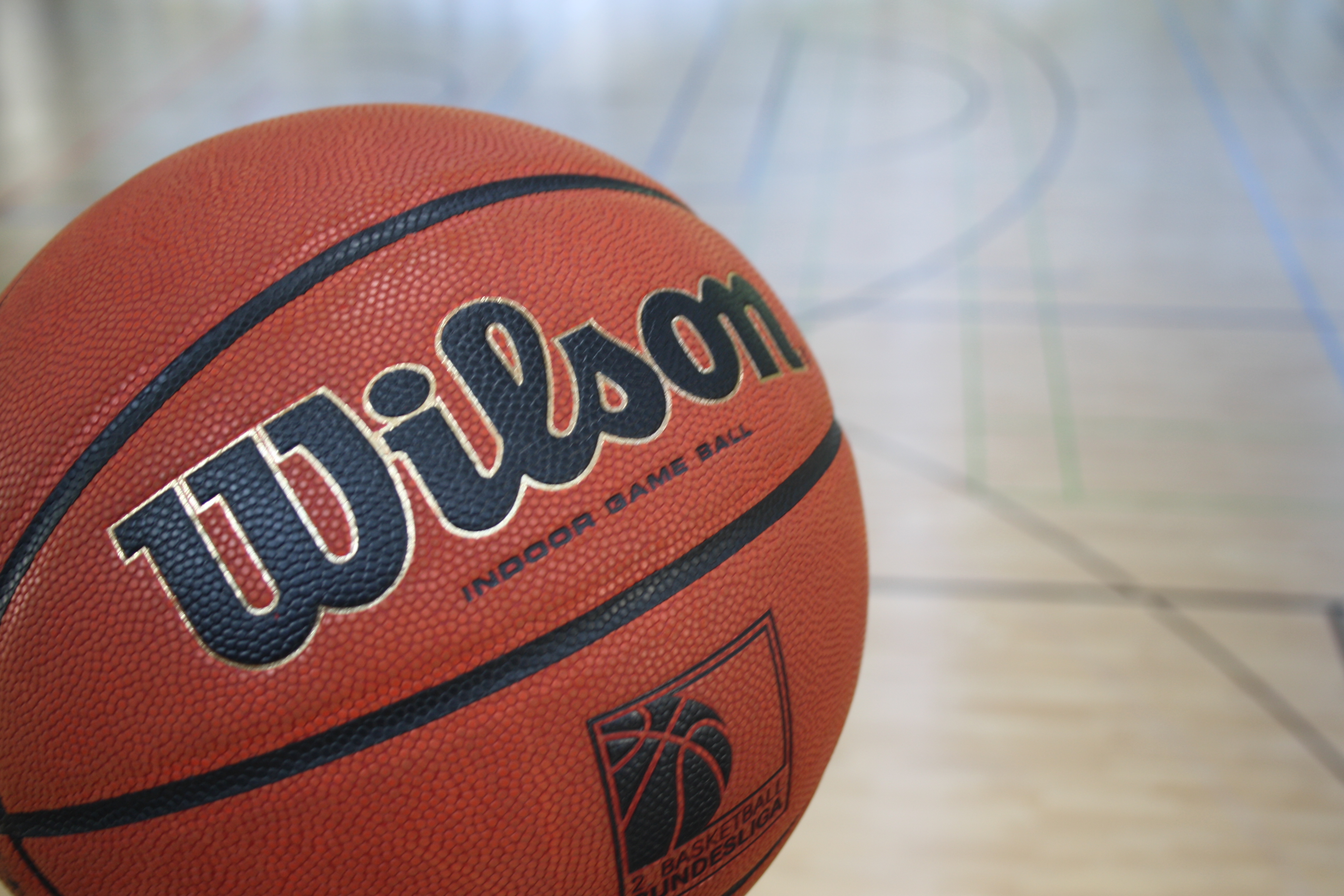 Der Ball ist da - aber wie sieht das Team der PSK Lions zum Saisonstart aus?