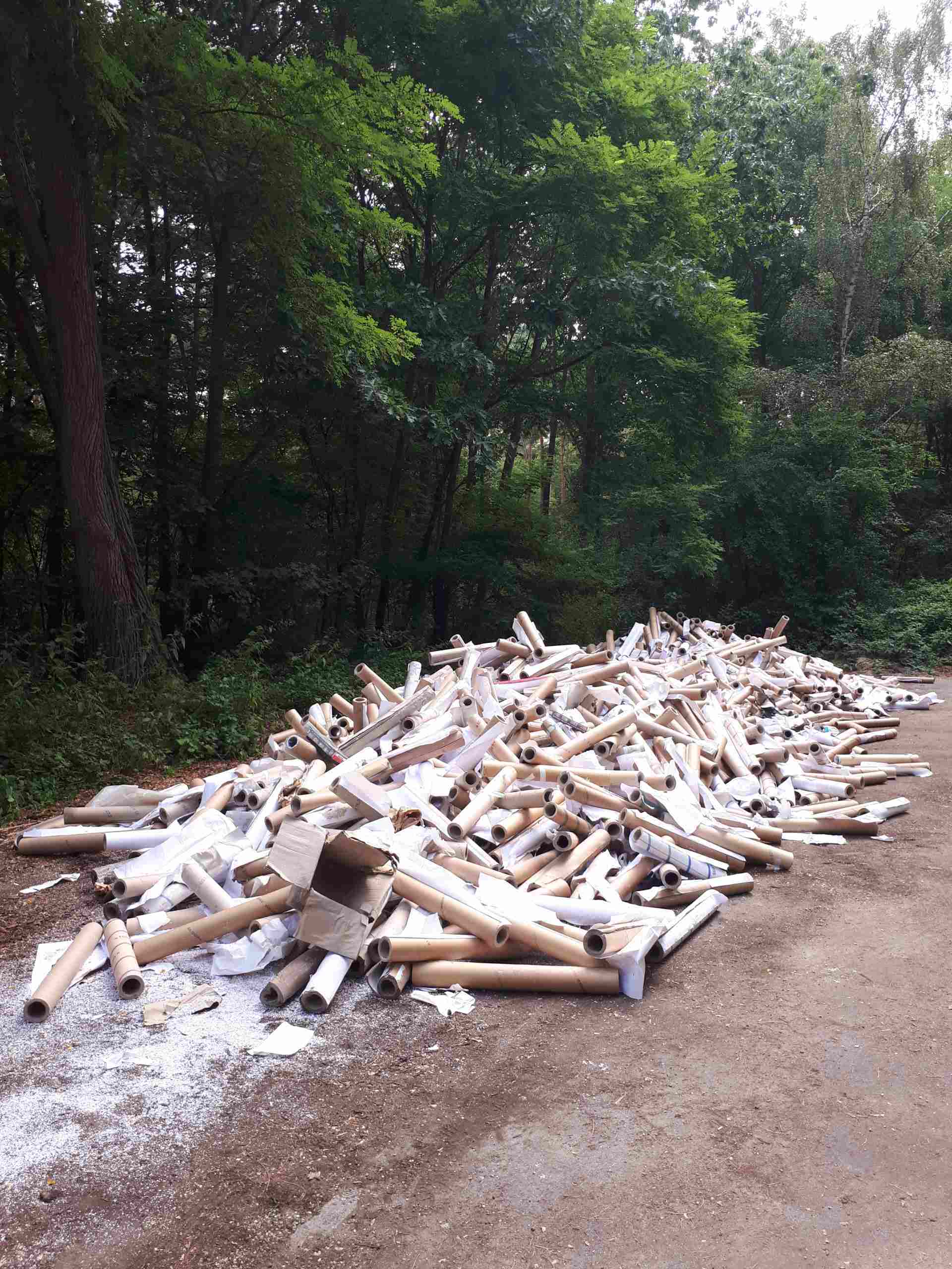 Einfach im Wald abgeladen