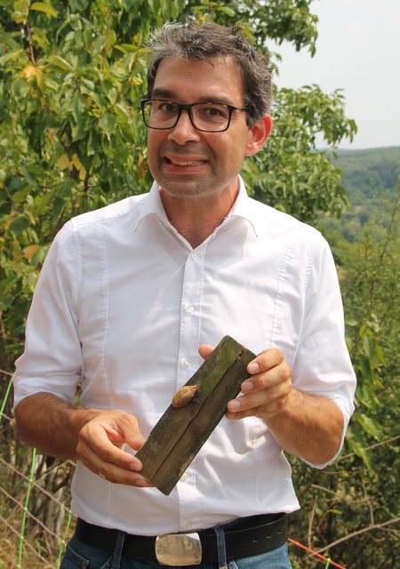 Staatssekretär Andre Baumann zeigt die Oothek, in der die Gottesanbeterin ihre Eier ablegt | Foto: Heike Schwitalla