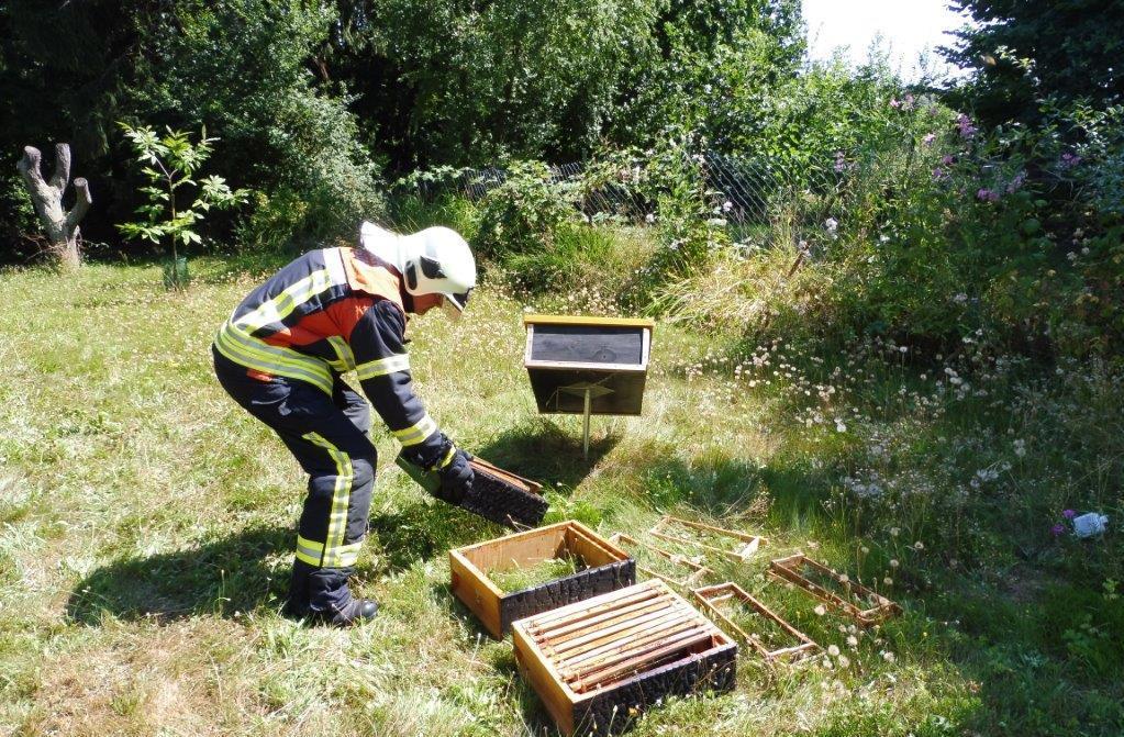 Die Wehrleute konnten ein Übergreifen der Flammen auf die Bienenvölker verhindern, die rings um die brennende Hütte aufgestellt waren. Foto: Feuerwehr Pirmasens