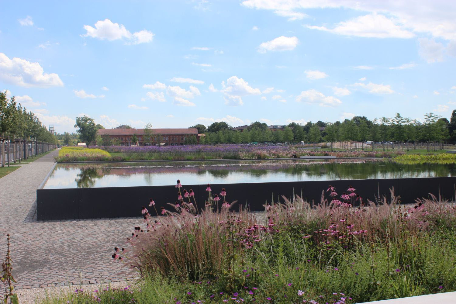 Der LGS-Gartenteich wurde für ein nächtliches Bad zweckentfremdet.