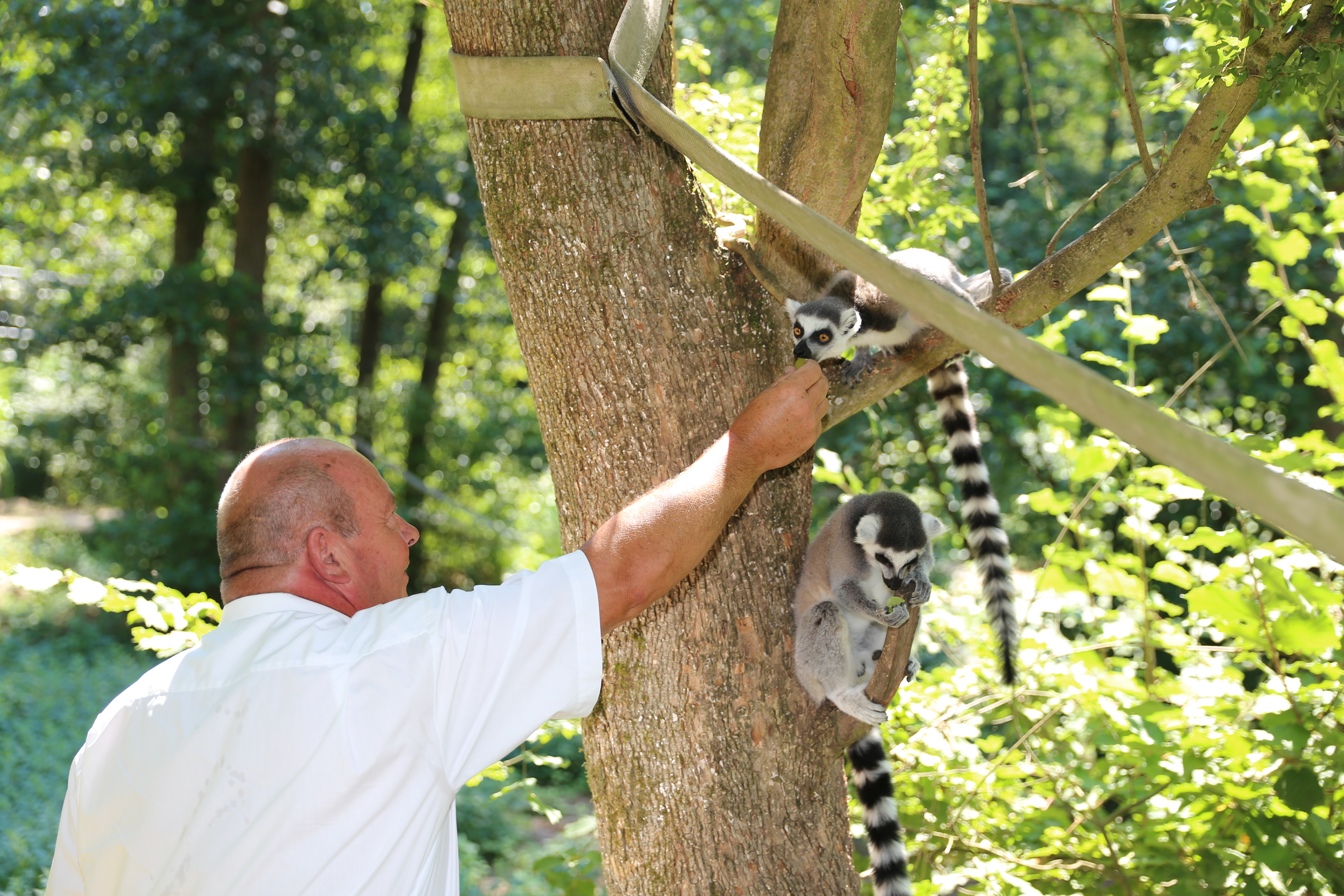 Zoo Kaiserslautern bietet immer mehr Tiere zum Anfassen Neues Konzept zum 50. Geburtstag
