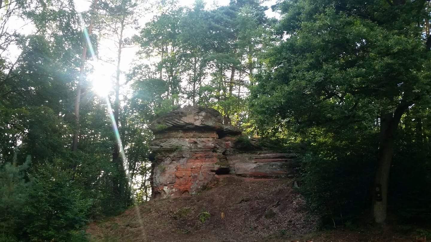 Die Naturbühne am Falkenstein