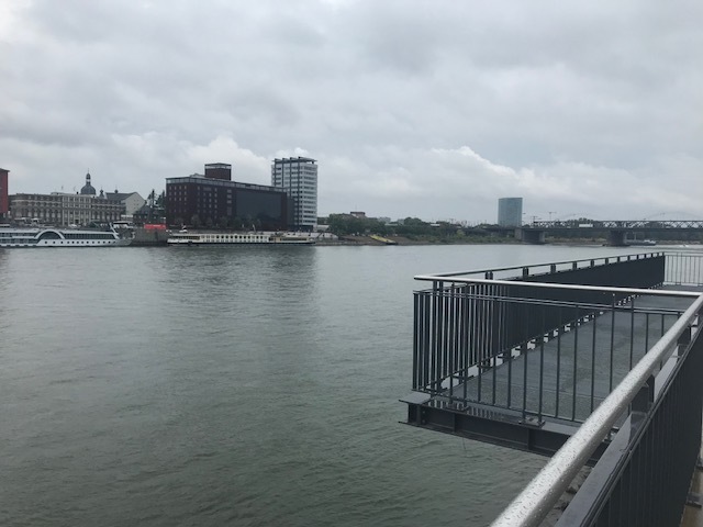 Rheinausblick