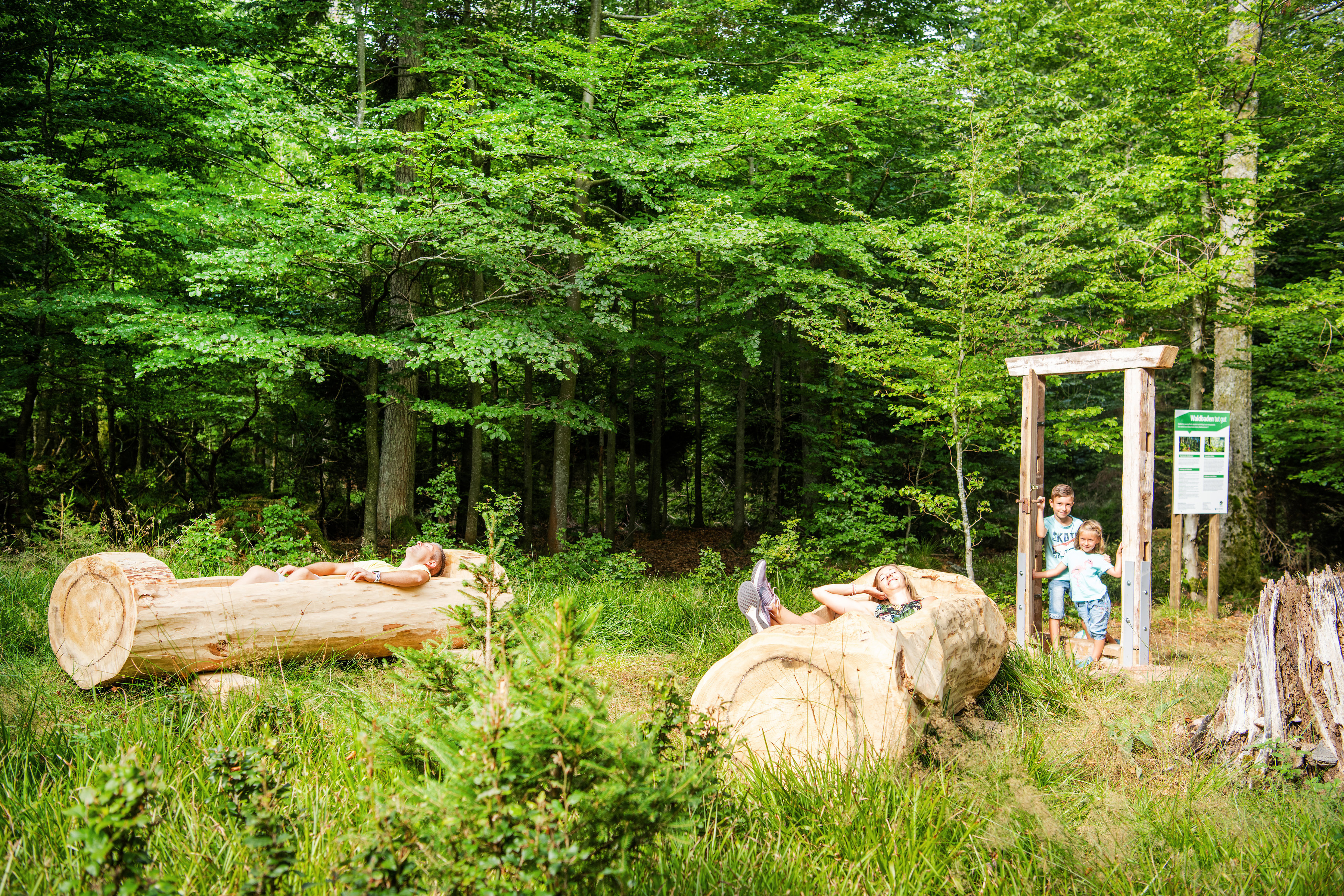 Der neue Trend „Waldbaden“: in Deutschlands erstem Waldbadezimmer