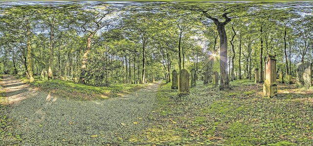 Am 2. September besteht von 13.30 Uhr bis 17.30 Uhr die Möglichkeit zur Besichtigung des jüdischen Friedhofes.  | Foto: Henrik Fessler