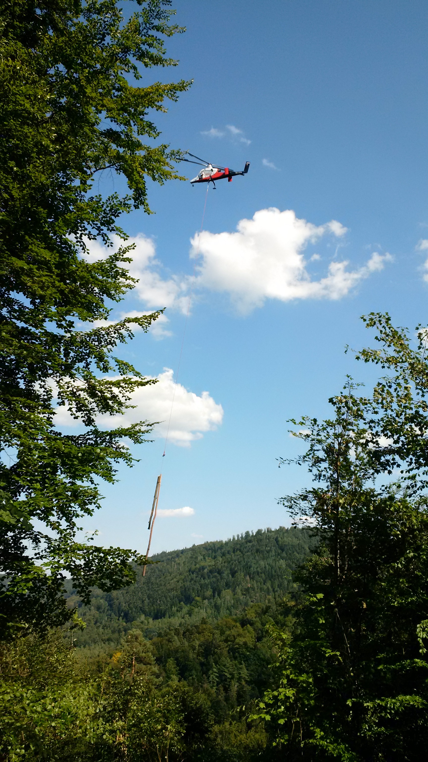 Heli-Logging in Neuenbürg