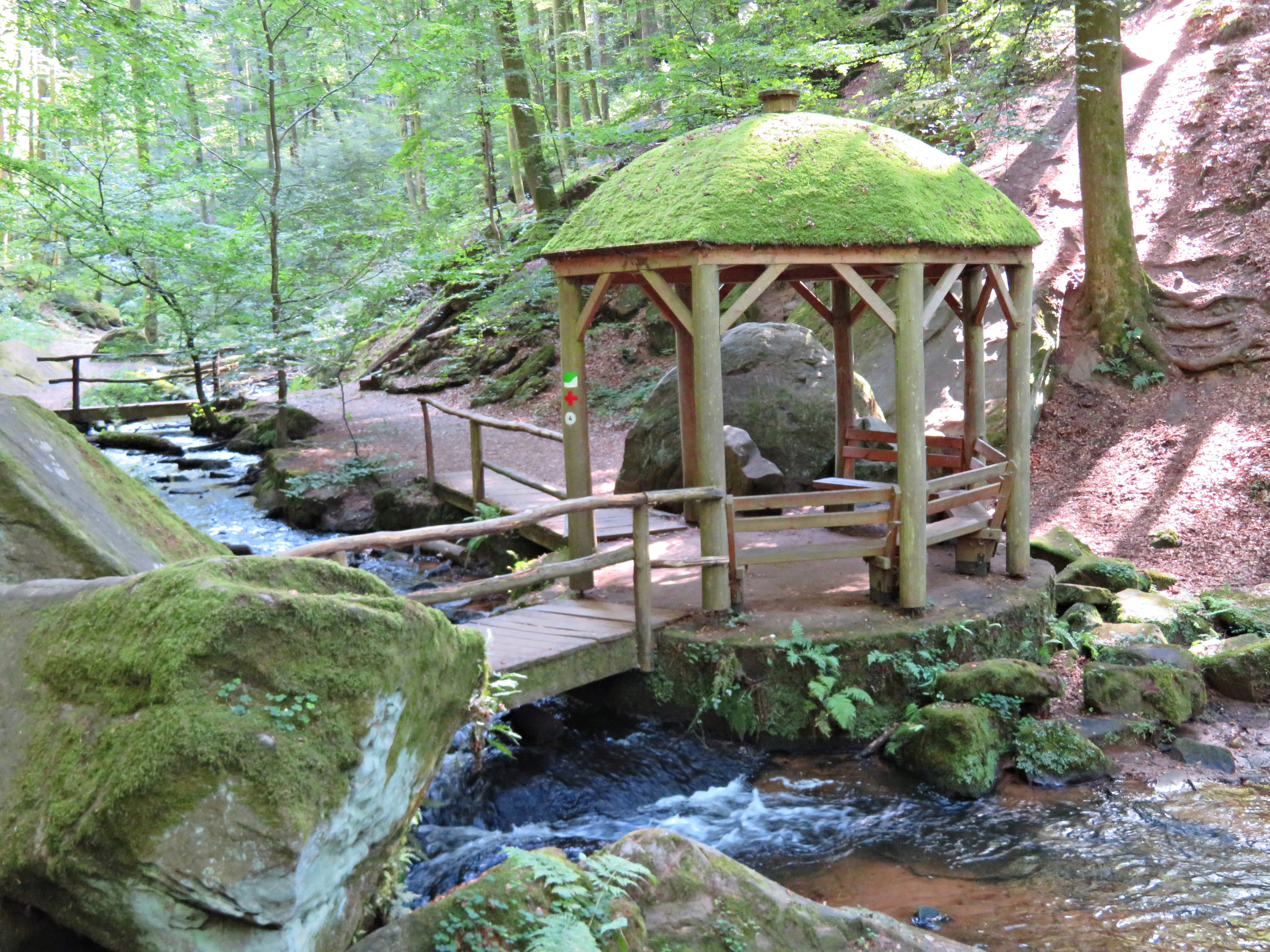 Schattiger Baldachin in der Karlstalschlucht