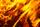 Der Flächenbrand konnte schnell  durch die alarmierte Feuerwehr unter Kontrolle gebracht werden.  | Foto: pixabay
